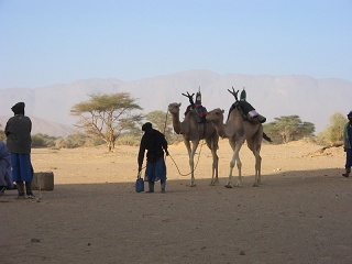 Niger 177