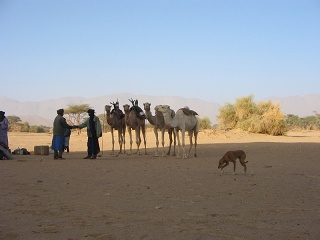 Niger 178