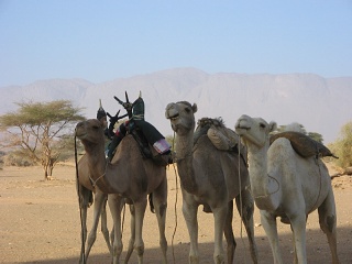 Niger 179