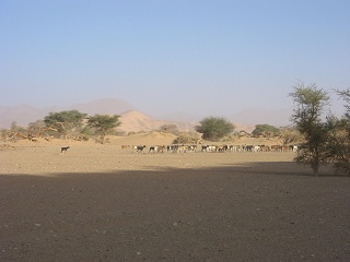 Niger 180