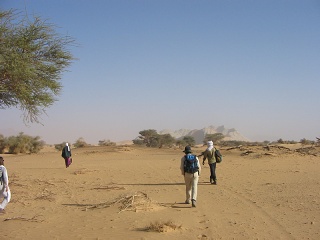 Niger 182