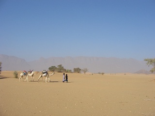 Niger 183