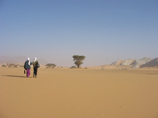 Niger 184