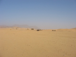 Niger 185