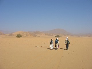 Niger 186