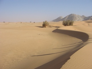 Niger 187