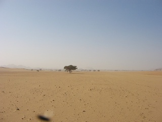 Niger 191