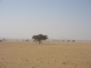 Niger 192