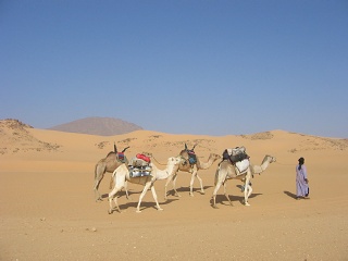 Niger 193