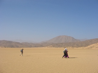 Niger 194