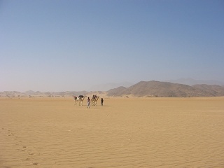 Niger 195