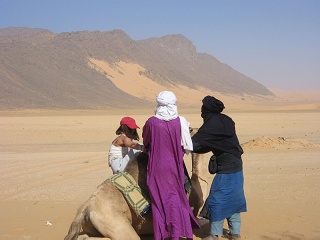 Niger 196