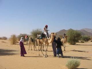 Niger 198