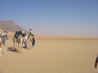 Niger 199