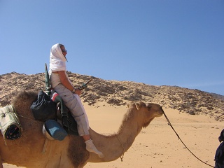 Niger 203