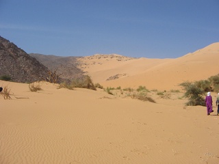 Niger 204