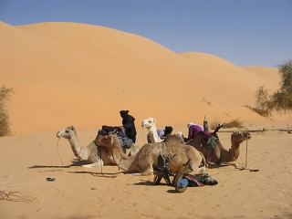 Niger 205