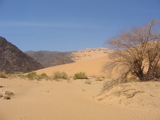 Niger 206