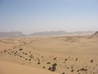 Niger 208