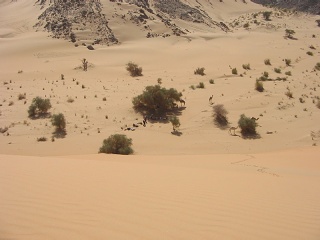 Niger 209