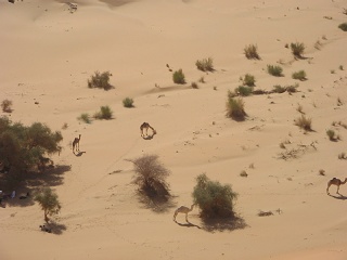 Niger 212