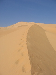 Niger 214