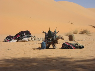 Niger 215