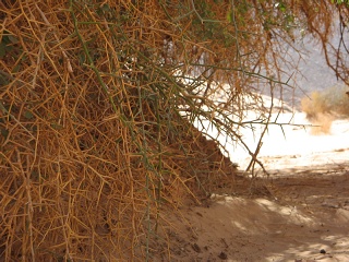 Niger 216