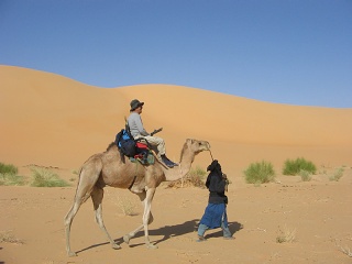 Niger 219