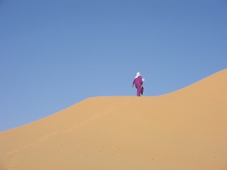 Niger 220