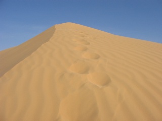 Niger 221