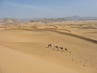 Niger 222