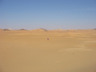 Niger 223