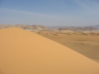 Niger 224