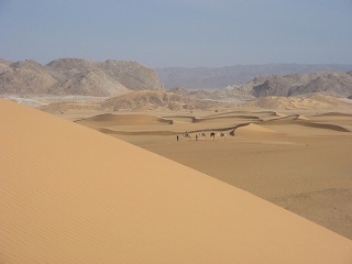 Niger 225