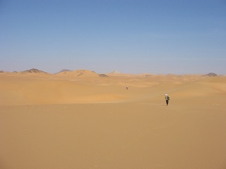 Niger 227