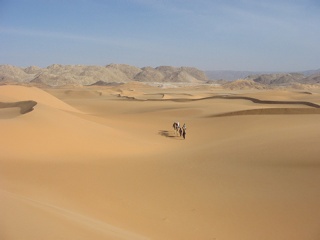 Niger 228