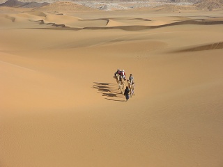 Niger 229