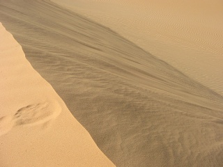 Niger 231