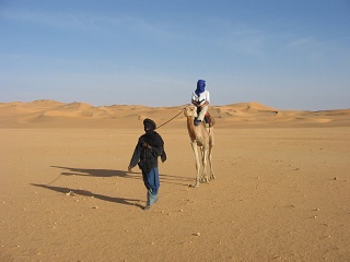 Niger 236