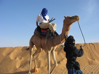 Niger 237