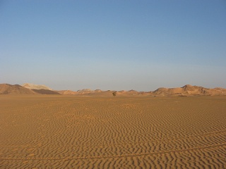 Niger 238
