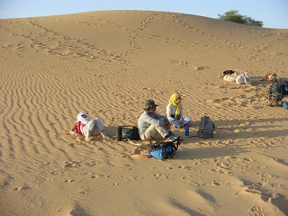 Niger 239