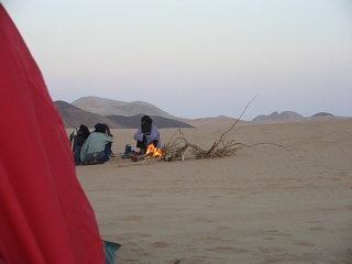 Niger 241