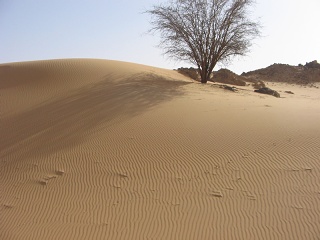 Niger 248