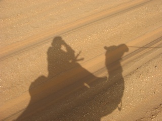 Niger 249