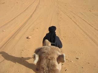 Niger 250