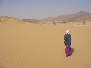 Niger 253