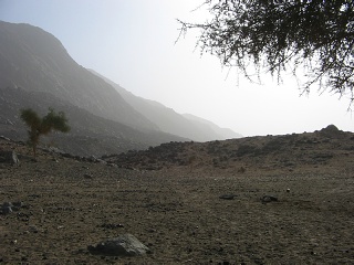 Niger 263