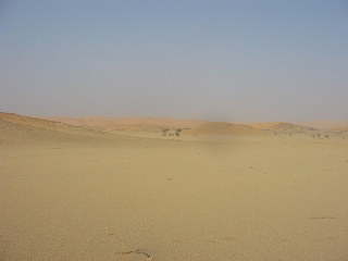 Niger 266